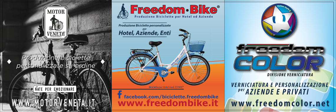 Biciclette per hotel freedom bike 4